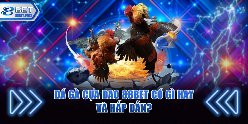 Đá gà cựa dao 88BET có gì hay và hấp dẫn?